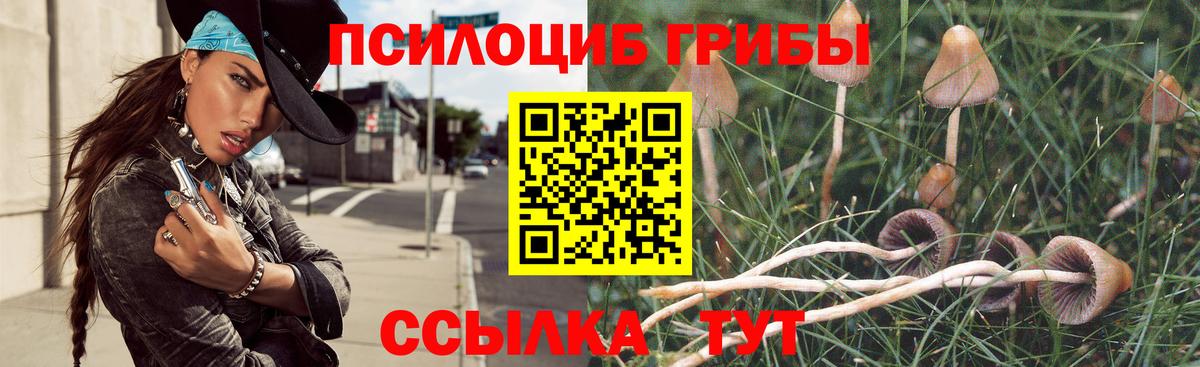 Добрянка  Галлюциногенные грибы мицелий  Вход с VPN 